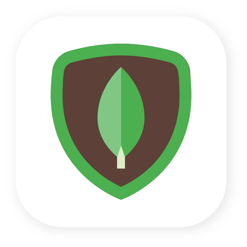 MongoDB
